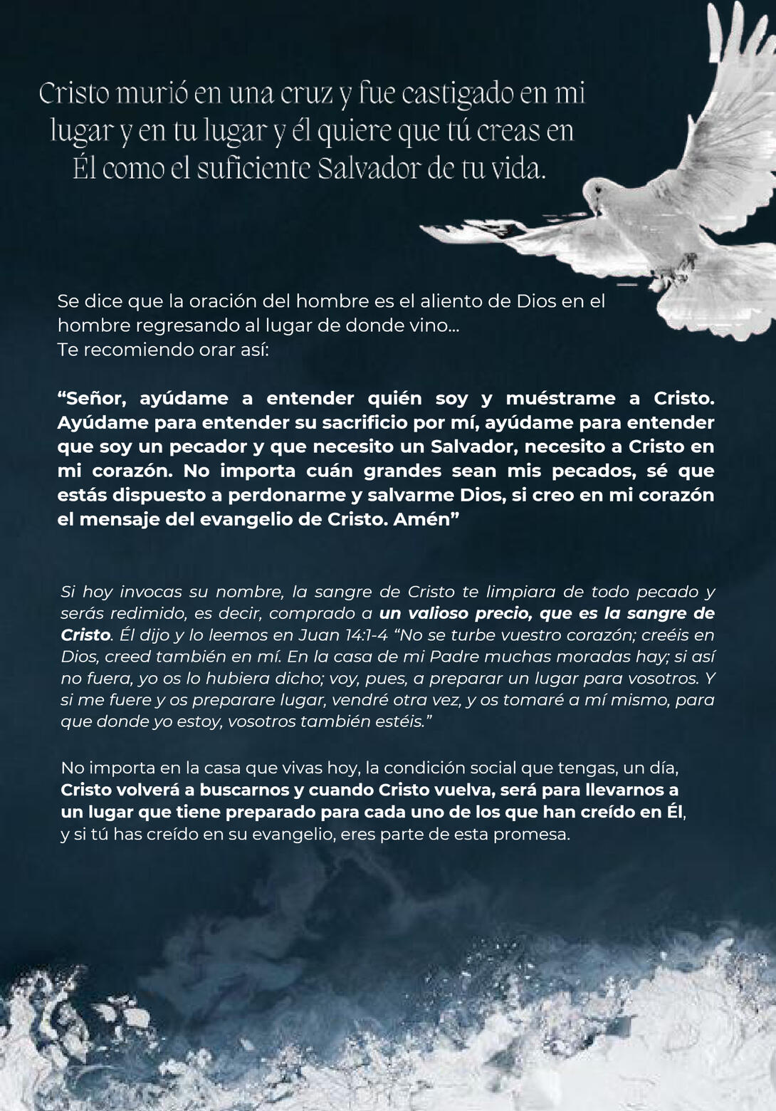 Imagen 9